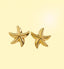 Star earring